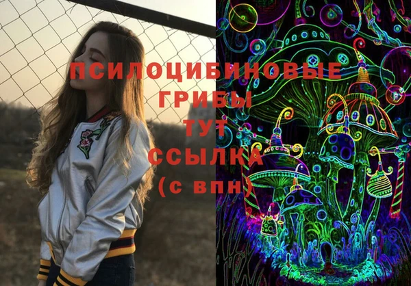 apvp Алексеевка