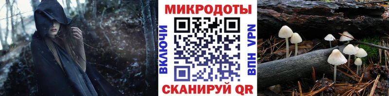 Галлюциногенные грибы Cubensis  гидра ссылки  Славск  цены  
